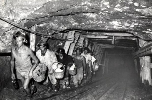 PROIEZIONE DOCUFILM: Il fiore delle terre nere – Marcinelle 70 anni dopo